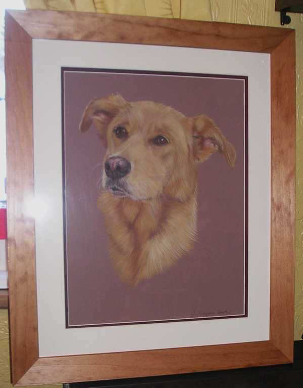 Golden Labrador Cross pet portrait by Joanne Simpson